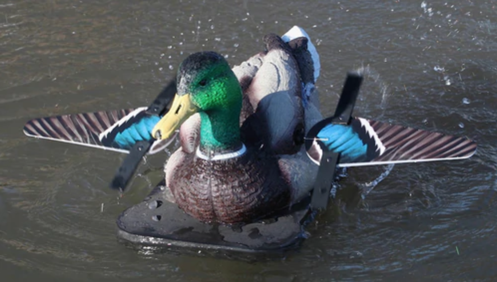 lucky-duck-splasher