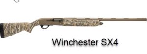 Best Shotgun for Hunting - Winchester SX4