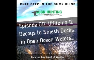 Episode 017: Utilizing 12 Decoys to Smash Sea Ducks in Open Ocean Waters