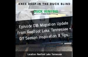 Duck Hunting and Stay Sharp In The Off Season - Some Inspiration For You