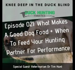 Episode 021: Veterinarian Reveals How To Choose A Good Dog Food For Your Hunting Dog - Dr Tims
