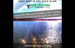Episode 009 Knee Deep In The Duck Blind: East Coast Virginia Duck Hunting