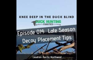 Outsmarting Ducks with Late Season Decoy Placement Tips
