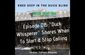 When to Start and Stop Calling Ducks - A "duck Whisper-ers" Secrets