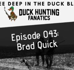 Episode 43: Brad Quick